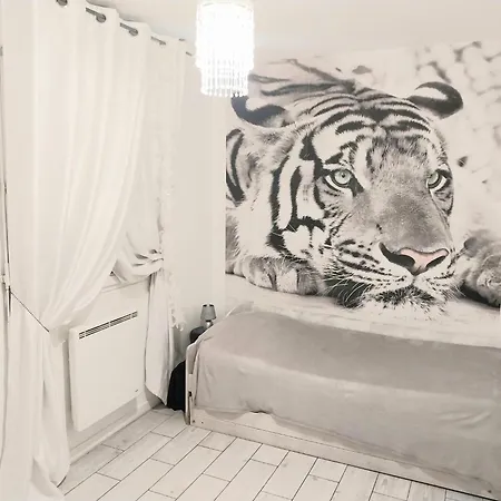 Avec Piscine